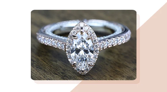 The History of the Marquise