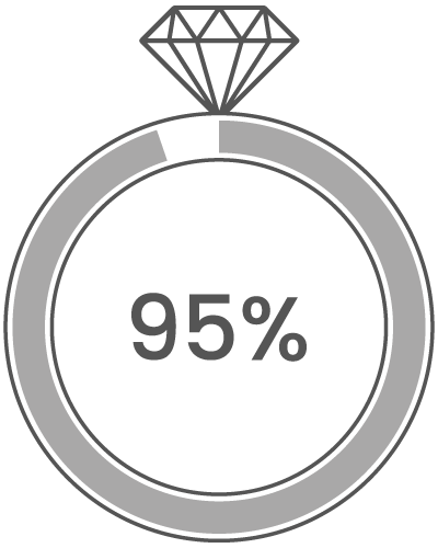 950 Platinum image