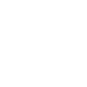 Durability icon