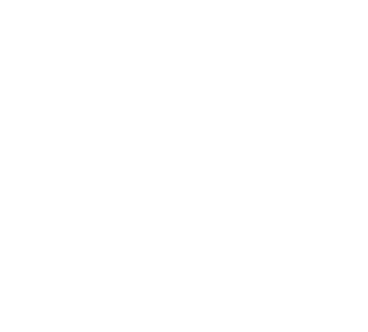 Hypoallergenic heart icon