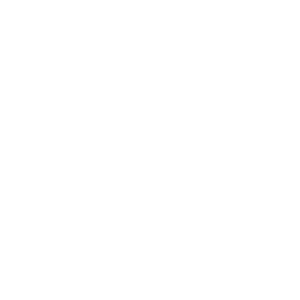 Search icon